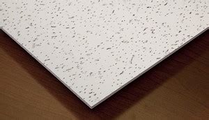 Available in over 30 decorative patterns and 50 colors. Genesis Printed Pro 2 x 4 Ceiling Tiles 746-00 - box of 10 ...