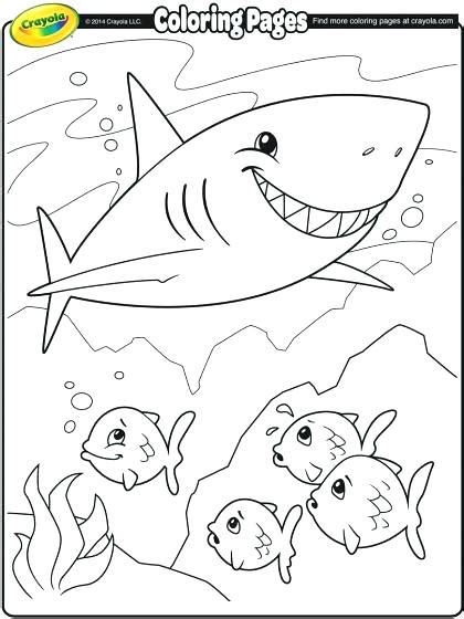 Click on each thumbnail below to download and print each coloring page in pdf format. San Jose Sharks Coloring Pages at GetDrawings | Free download