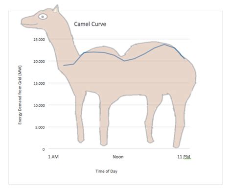 This is only valid if stream was created with camel_stream_new(). A different kind of bird: meet the duck (curve) | Audubon ...