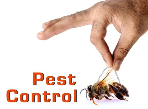 But there is one person who clearly deems the descriptions apt: Take pest control seriously, even in the office. If there ...