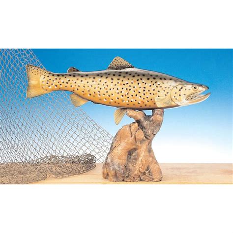 This beauty is from a solid piece of wood, hand carved and hand painted in realistic detail, with a glass eye. BASS MOUNTS, RAINBOW TROUT FOR SALE, WHOLESALE, BROOK ...