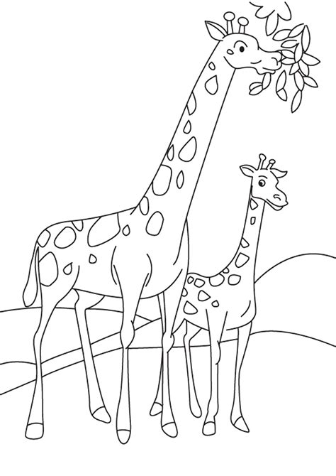 Contact disegni da colorare per bambini on messenger. 30 Disegni di Giraffe da Colorare | PianetaBambini.it