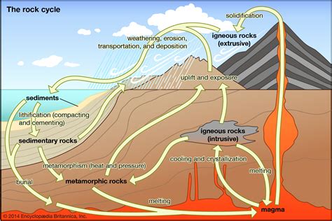 Arrows connecting the rock types. Metamorphic rock - Pressure | Britannica