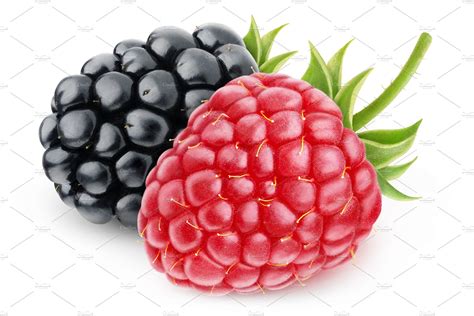 Raspberry and blackberry | Pre-Designed Photoshop Graphics ~ Creative ...