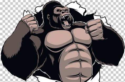 We did not find results for: Gorilla King Kong Ape Cartoon PNG, Clipart, Animals, Ape ...