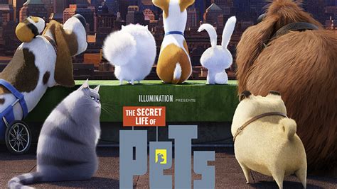Tentunya, salah satu info yang harus kamu. 'Secret Life of Pets' Cast - Meet the Voices of the Characters! | Albert Brooks, Bobby Moynihan ...