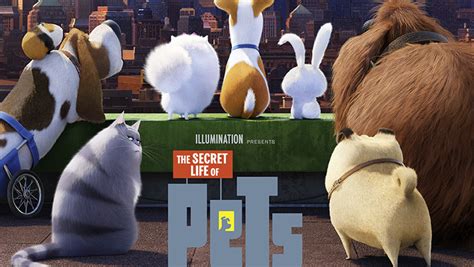 Tentunya, salah satu info yang harus kamu. 'Secret Life of Pets' Cast - Meet the Voices of the Characters! | Albert Brooks, Bobby Moynihan ...