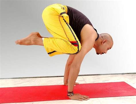 Attractive female practicing handstand asana for the development of balance, harmony. Crane Pose- Bakasana | Crane pose, Learn yoga, Yoga images