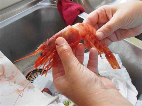 Entdecke rezepte, einrichtungsideen, stilinterpretationen und andere ideen zum ausprobieren. Gamberoni al lardo di colonnata | Perfetti per Capodanno