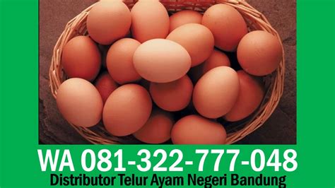 Telur bebek dijual marjuki seharga rp 2.500 per butir dan telur puyuh dijual per kotak seharga rp 13.000 dengan isi 30 butir. Harga Grosir Telur Ayam Bandung, WA 081-322-777-048 - YouTube