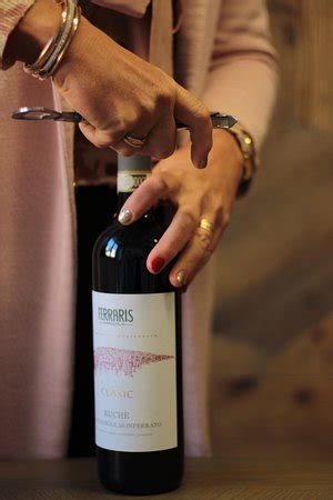 You'll learn a great deal about wine at ferraris agricola, where you can sample a range of reds and whites. Ferraris Agricola (Castagnole Monferrato): AGGIORNATO 2021 - tutto quello che c'è da sapere ...