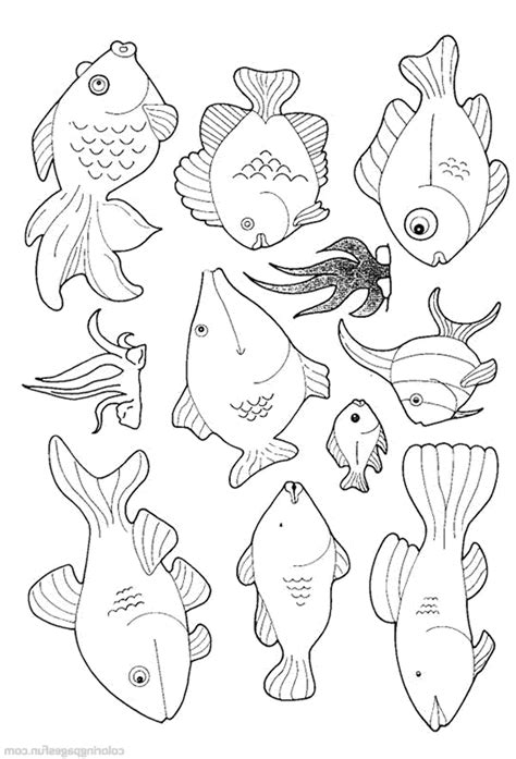 When it's time to pick decorations for a fish tank, what you decide to add should meet two main criteria the other is that you should make the appearance of the aquarium fit with your style and your home or office, so that it is the focal point that you want it to be. Aquarium Fish Coloring Pages at GetDrawings | Free download