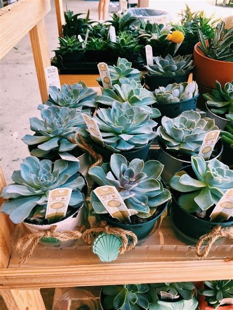 Flic.kr/p/bgqrjt __ partial restoration by plumleaves i used to have a print of this on our wall, but i gave it to a friend in need. Pin by sarah elizabeth :) on flower power (With images ...