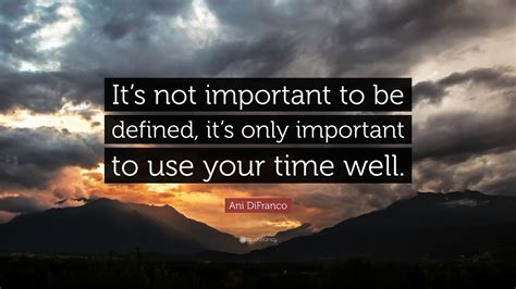 Ani difranco some people wear their smile like a disguise. Ani DiFranco Quote: "It's not important to be defined, it's only important to use your time well."