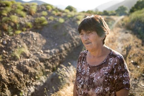 So stammt mehr als die hälfte der chilenischen produktion aus der provinz. Chile's Booming Avocado Business Blamed for Water Shortages