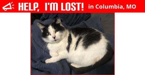 In columbia, there are 101.4 days annually when the nighttime low temperature falls below freezing, which is warmer than most places in missouri. Lost Cat (Columbia, Missouri) - Patches