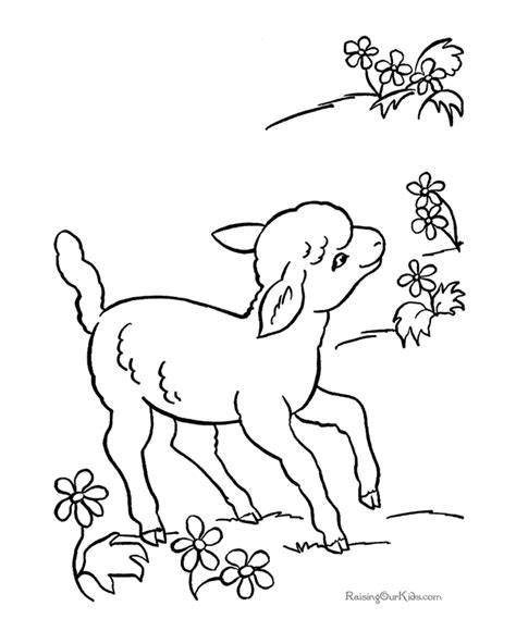 Hours of fun await you by coloring a free drawing animals lamb. Lamb page to color - 015