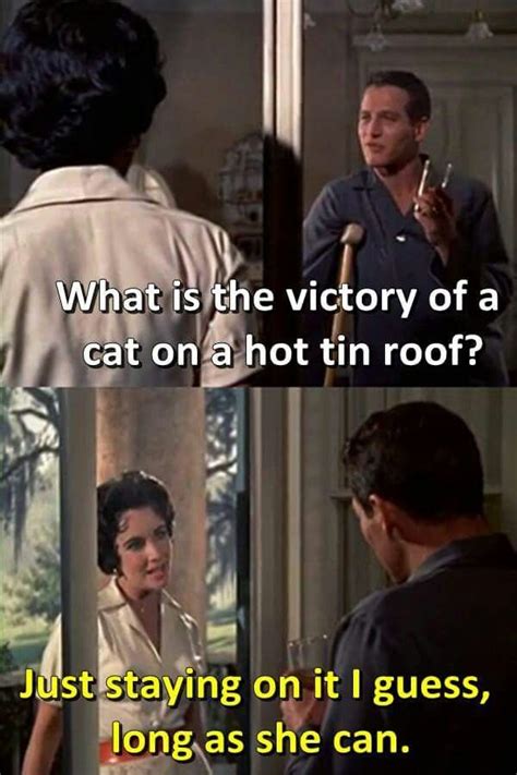 Theatre cat on a hot tin roof apollo theatre, london any nakedness in this version of cat on a richard brooks' film version of cat on a hot tin roof (1958) came to the screen three years after tennessee. Cat on hot tin roof (With images) | Movies quotes scene, Film quotes, Movie lines