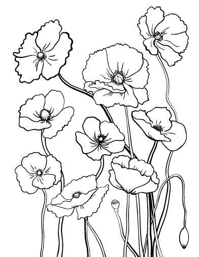 Gehäkelter blumenkranz ♡ frühlingskranz gehäkelt. Pin by Lisa Baumgaertner on Blumen | Poppy coloring page ...