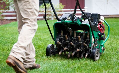 The more you work, the more you can earn. Lawn Care Services | Lawn Mowing | Cicero, NY