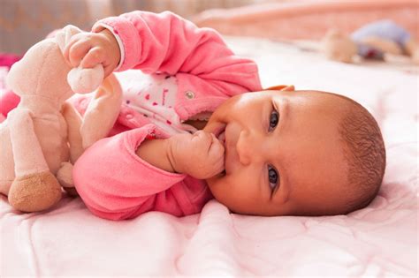 Resep mpasi untuk bayi usia 6 sampai 11 bulan bisa anda olah dengan menumis bawang bombai hingga harum kemudian tambahkan air kaldu. Aksi Si Kecil di Usia 6 Bulan Pertama | MY BABY
