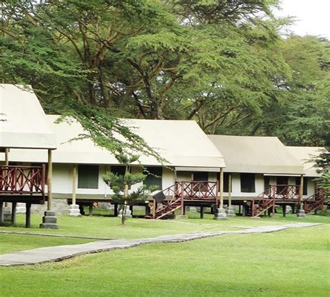 Kenya gets steady sunlight dealt out in days that vary little in length. LAKE NAIVASHA CRESCENT CAMP ⭐⭐⭐⭐⭐ - Baraka Safari Kenya