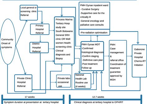 Learn about cervical cancer including risk factors, prevention, early detection tests, and treatment. Timelines to cervical cancer diagnosis and treatment | IJWH