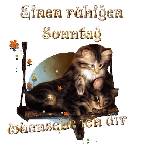Dieser wird automatisch markiert und du kannst ihn direkt kopier. Sonntag | Sonntagsgrüße, Schönen sonntag bilder, Schönen ...