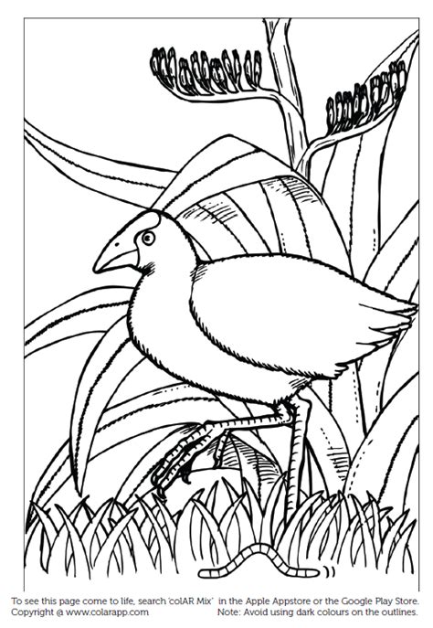 Quiver / colAR Mix -3D coloring book App 증강현실(AR) 색칠놀이 / 앱 ...