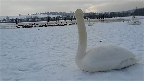 Jedná se o snímky z meteorologického radaru. Idnes pocasi plzen