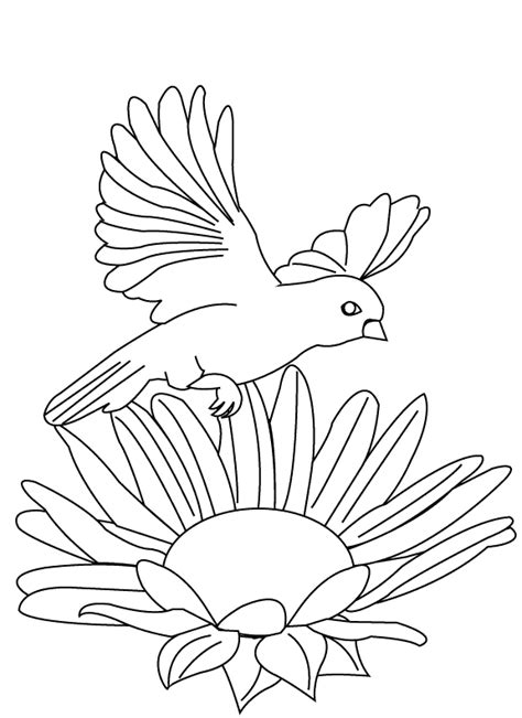 You might also be interested in coloring pages from parrotscategory. Coloring Pages - Parrot flying