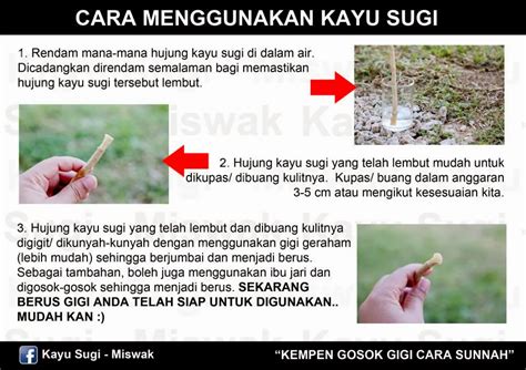 Arti 'kayu sugi' di kbbi adalah lihat sugi. Kempen Gosok Gigi Cara Sunnah! - Kayu Sugi: Cara ...