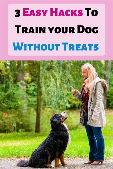 This usually means looser stools or diarrhea. Do you have a dog who is not food motivated? Do you wanna ...