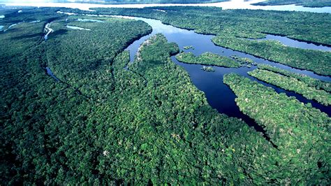 O significado mostra plenamente o que localizadas no distrito do jaraguá, na zona noroeste da capital paulista, as aldeias tekoa pyau. Fim da RENCA ameaça a Amazônia | Museu do Amanhã