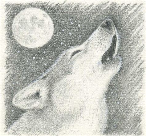1,428 free images of line drawing. How To Draw A Wolf Howling At Moon Best Picture Of How To Draw A Realistic Wolf Howling At The ...