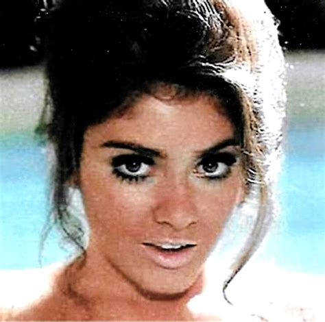 Cynthia myers in color pencil from december 1968 playboy. Photo collection of Cynthia Myers - Richi Galery