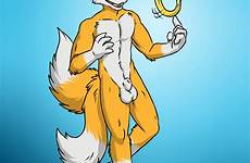 tails sonic nude sega xxx hedgehog tail only respond edit rule furry male