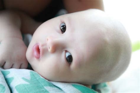 Maybe you would like to learn more about one of these? Gambar anak Harith Iskander | oH rOjaK
