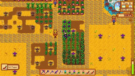 Maybe you would like to learn more about one of these? How to get Hot Pepper - Stardew Valley - YouTube