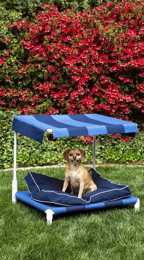 Pet bed canopy portable dog camp tent raised bed sun canopy camp tent outdoor. How to Build an Outdoor Dog Bed | Outdoor dog bed, Dog bed ...