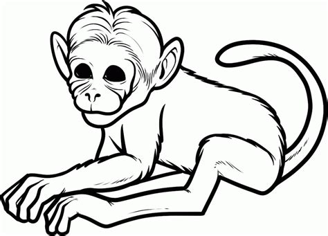 First, give each child his or her own pencil and a white sheet of construction paper. Baby Monkey Coloring Pages - Coloring Home