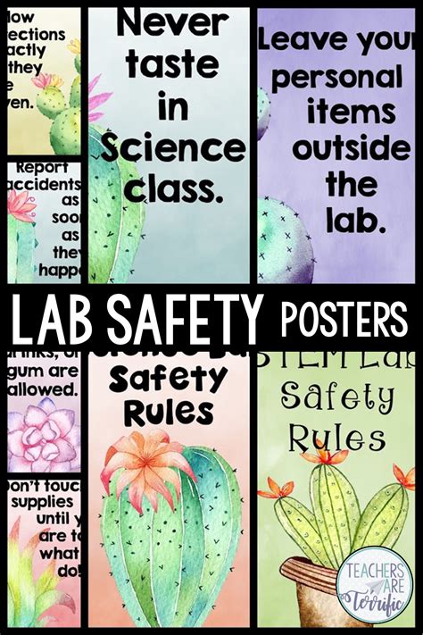This product is part of a lab safety rules projects bundle! Science Safety Rules Posters in a Cactus Theme | Science safety, Lab safety, Science safety rules