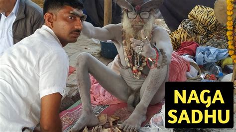 The naga is a mystical creature with the body of a snake and the head of a man or woman. NAGA SADHUS || नागा साधु || बाबा बर्फानी मणिमहेश - YouTube