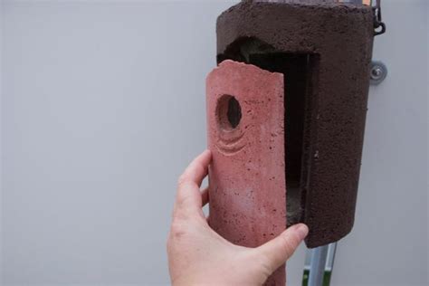 Nistkästen für vögel sollte man frühzeitig aufhängen, damit sie bei der revierschau, die bei meisen schon im februar beginnt, entdeckt werden können. Wann Nistkasten reinigen? - Jetzt im September ist ein ...