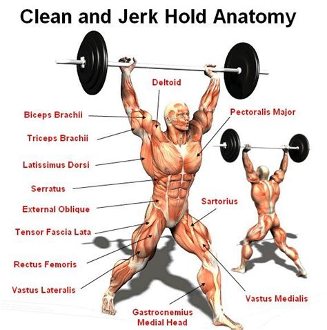 After lifting the barbell to the shoulders, the lifter jerks it overhead to arm's length, with no restrictions on the time necessary to complete the lift or on leg movements. Pin on Workouts