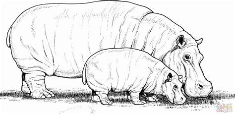 Land animals with huge jaws spend most of their lives in a pond. baby hippo coloring pages