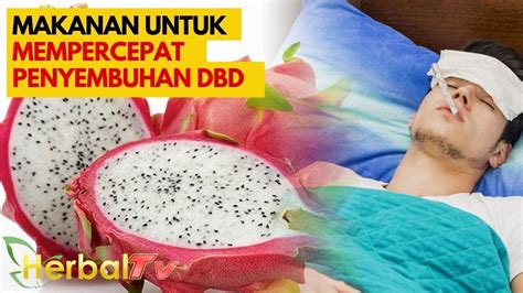 Sebagai penyedia, maka produsen tidak akan memakan makhluk hidup lain. 3 Makanan untuk Mempercepat Penyembuhan Demam Berdarah ...