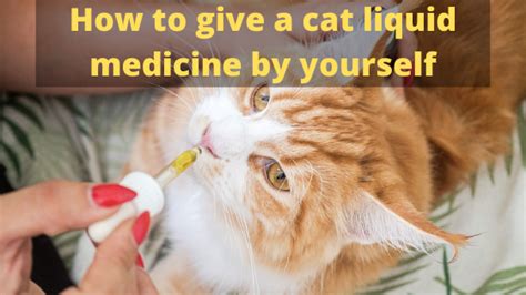 So that is how you give a cat liquid meds. How to give a cat liquid medicine by yourself