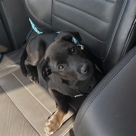 Thanks to apps like robinhood, tradestation, and webull, traders can buy and sell stocks and crypto simultaneously on the same platform. Reddit meet Penny : aww