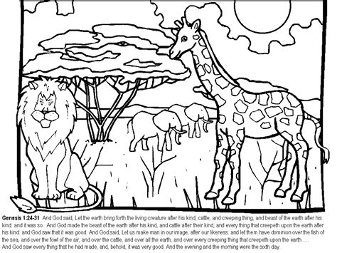 Search through 623,989 free printable colorings at getcolorings. 7 Days Of Creation Coloring Pages - Coloring Home